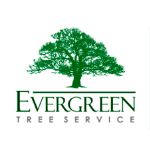 Evergreen Tree Svc