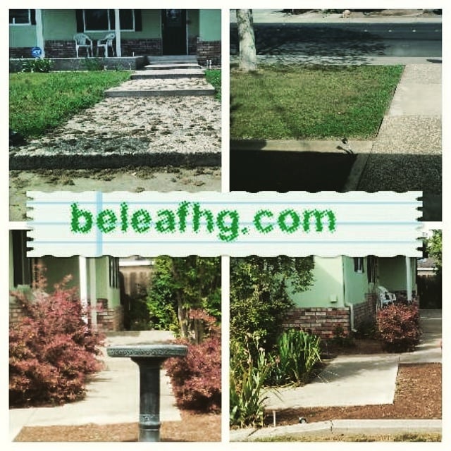 Be-Leaf Home & Garden