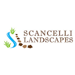Scancelli Landscapes