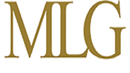 MLG Business Litigation Group LEGAL SERVICES