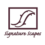 Signature Scapes