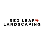 Red Leaf Landscape