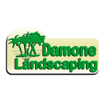 Damone Landscaping
