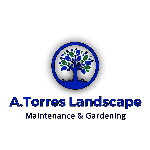A Torres Landscape