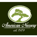 American Nursery