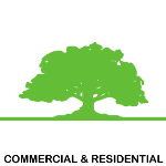 Arboles Care Tree Service